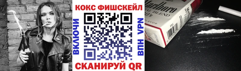 Купить закладки  Темников  Кокаин Fish Scale 