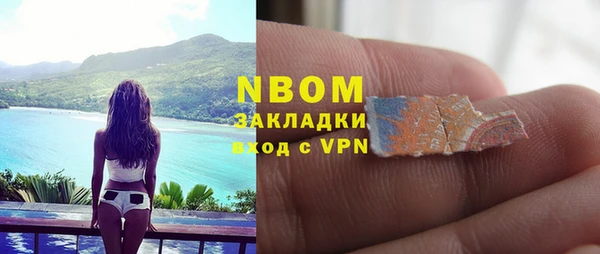 шишки Аркадак