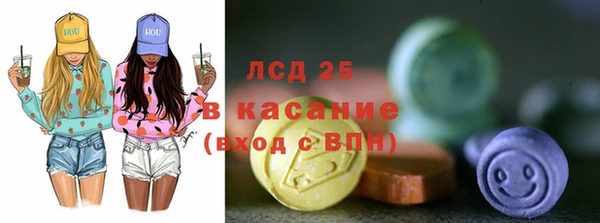 шишки Аркадак