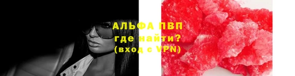 шишки Аркадак