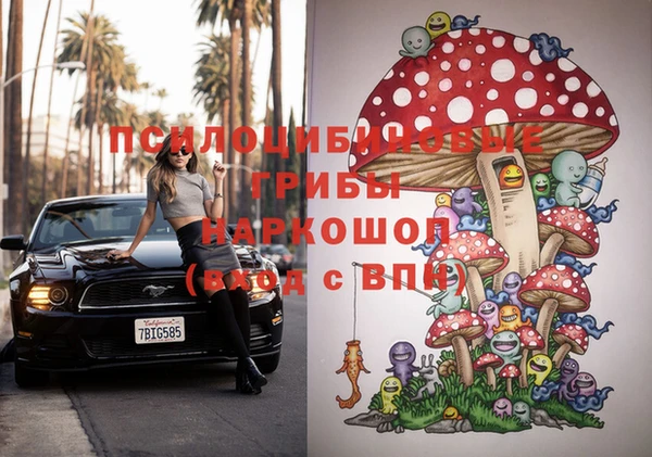шишки Аркадак