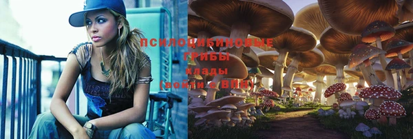 МДПВ Арсеньев