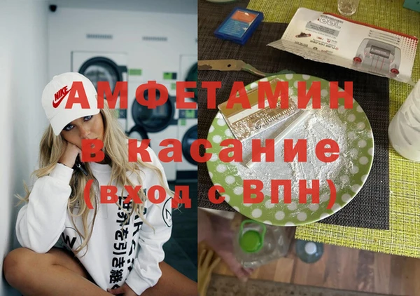 шишки Аркадак