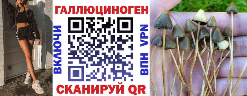 Галлюциногенные грибы Psilocybine cubensis  Купить закладки  Темников 